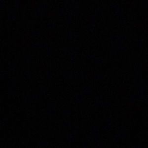 Meet your Posher, Libby